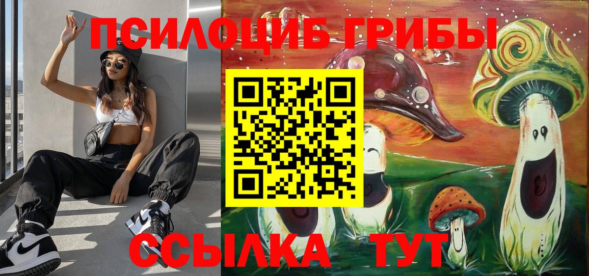 где купить наркоту  Вход с VPN  Алейск  Галлюциногенные грибы Magic Shrooms 