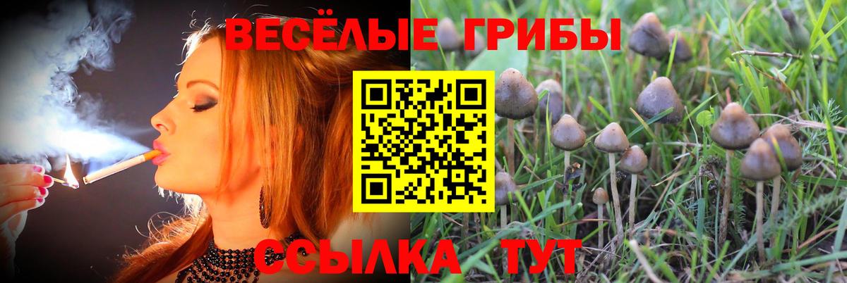 Галлюциногенные грибы GOLDEN TEACHER Алейск